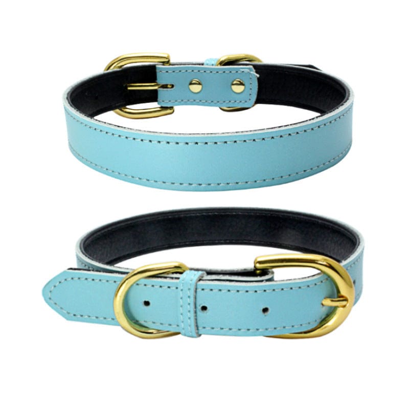 Collier en cuir bleu pour animaux, confort et durabilité pour chien et chat, accessoires pour animaux de qualité.