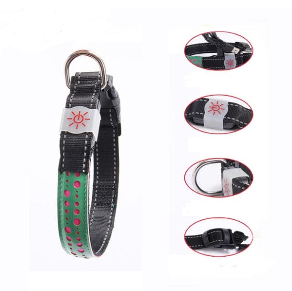 Collier LED pour chien avec éclairage, idéal pour sécurité nocturne et style en promenade.