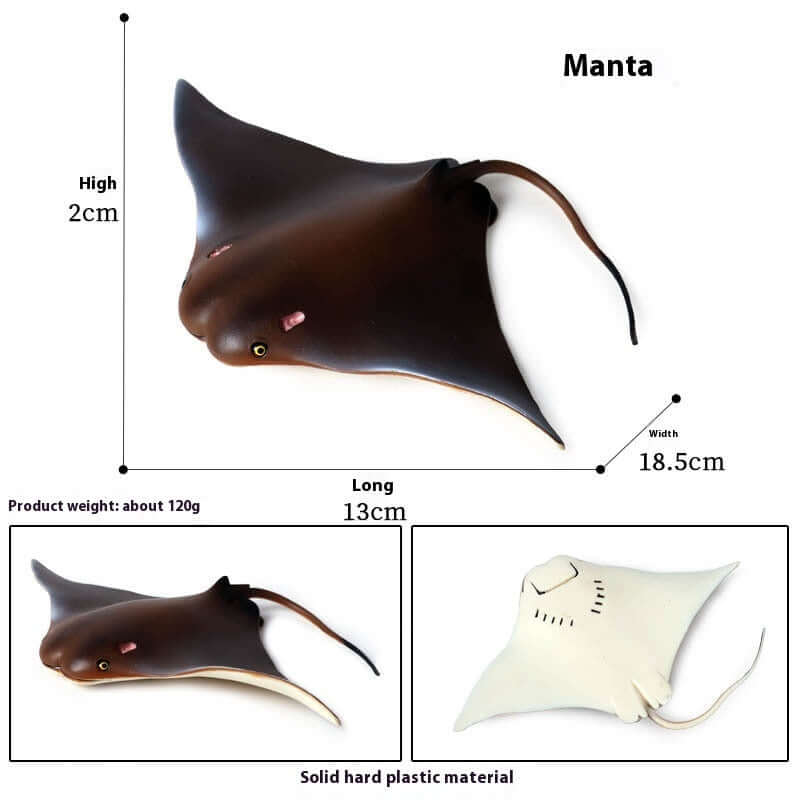 Modèle de Manta en plastique avec dimensions 13cm x 18.5cm, jouet éducatif marin pour enfants.
