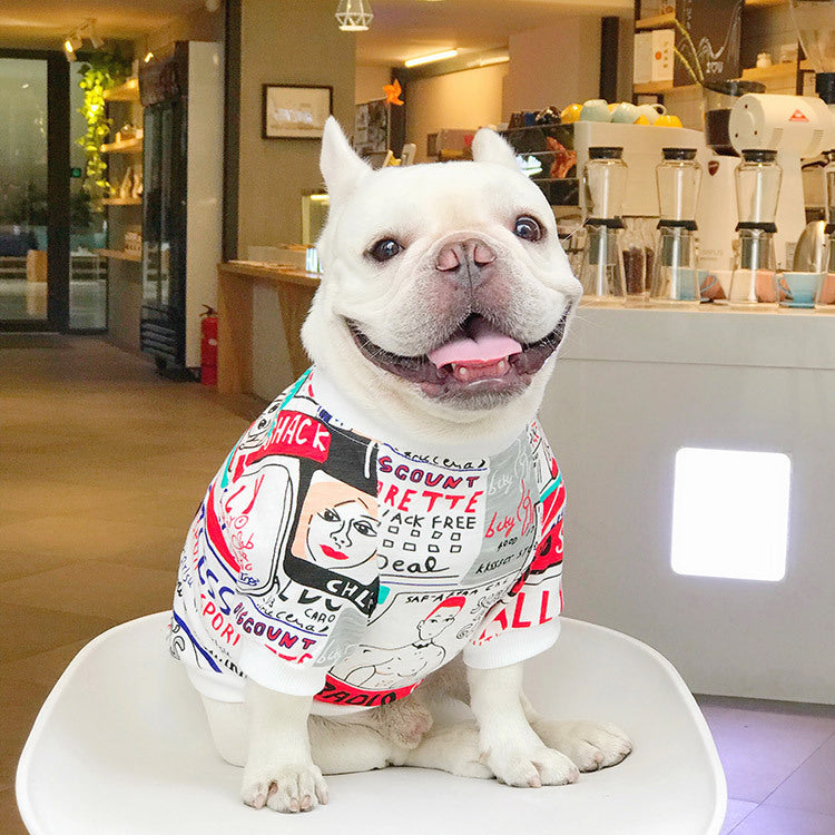Chien heureux portant un pull coloré avec design amusant, assis dans un café moderne.