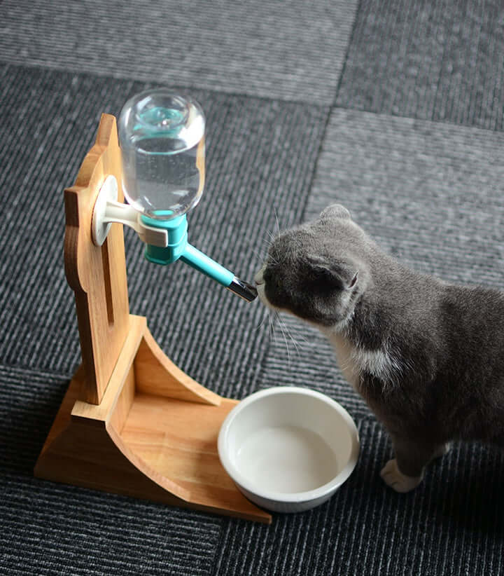 Fontaine à eau automatique pour animaux avec un chat, en bois, assurant une hydratation optimale.