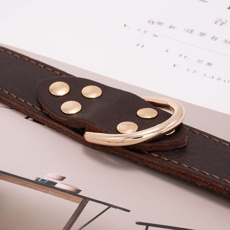 Collier pour chien confortable en cuir avec boucles dorées et rivets, sur une surface meuble.