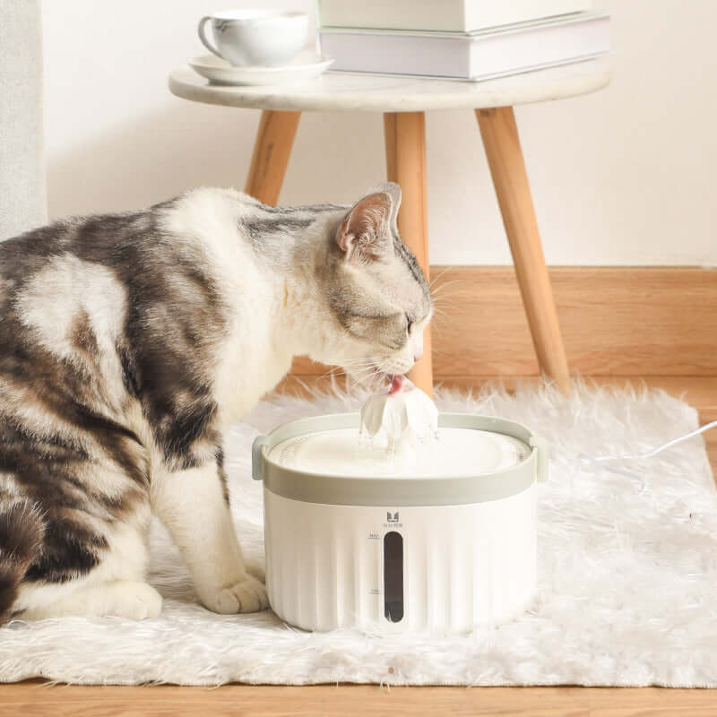 Chat buvant de l'eau fraîche dans un distributeur élégant, conçu pour une hydratation optimale.