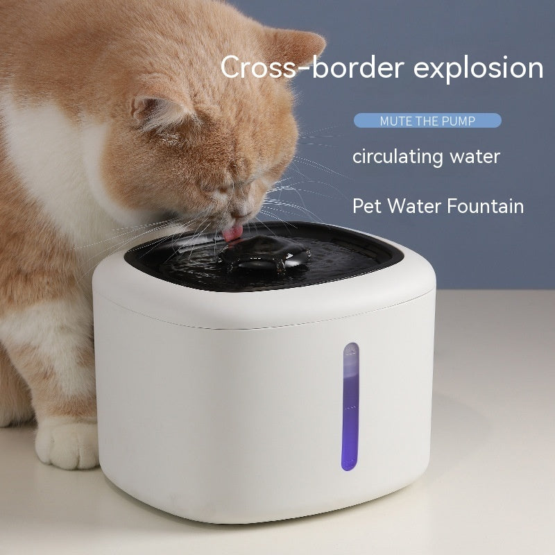 Distributeur d'eau intelligent pour animaux avec circulation d'eau, idéal pour encourager l'hydratation des chats.