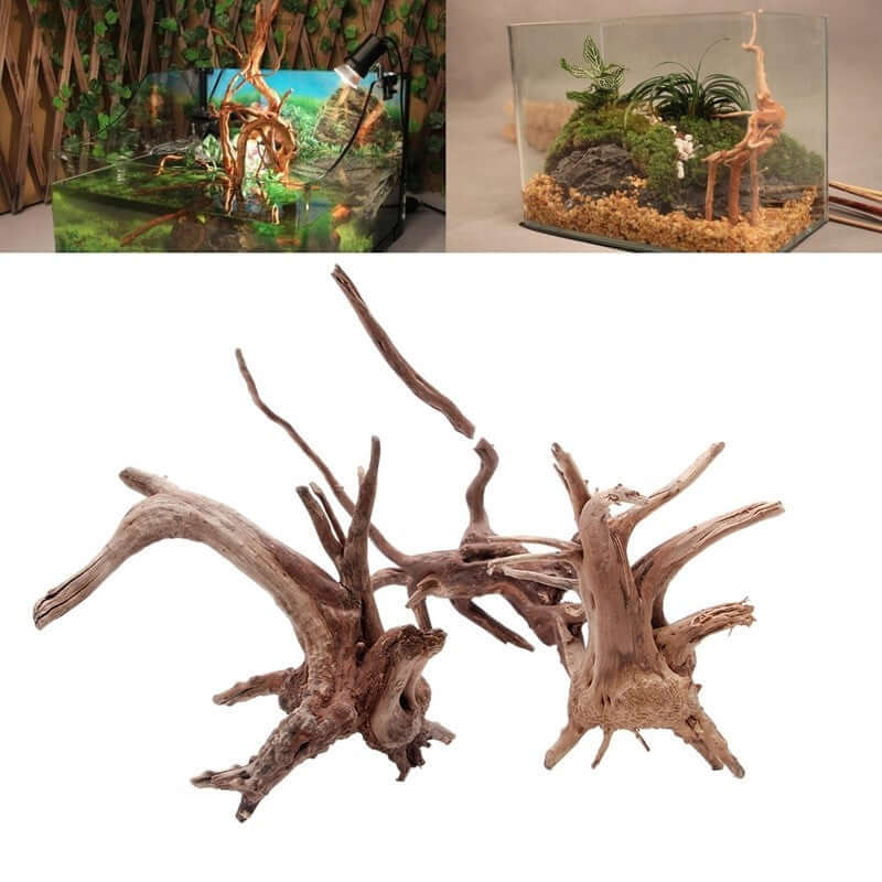 Décoration aquarium racine d'arbre en bois pour un look naturel et authentique.