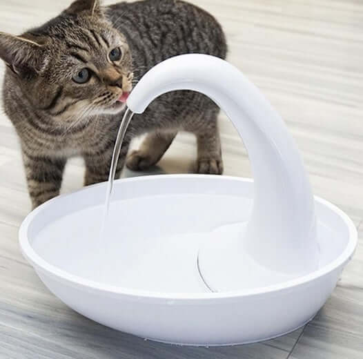 Chat buvant de l'eau d'un distributeur automatique en forme de cygne, équipement pour animaux, accessoire silencieux.