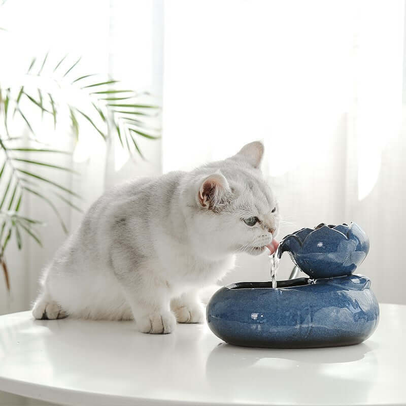 Distributeur d'eau pour chat avec design moderne, chat gris en train de boire sur une table, ambiance lumineuse.