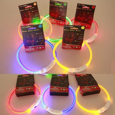 Colliers LED lumineux USB pour chiens, disponibles en plusieurs couleurs pour la sécurité nocturne.