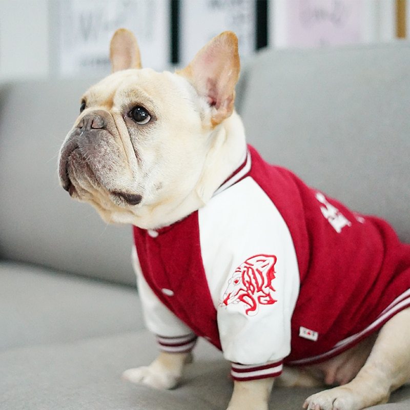 Chien français en uniforme de baseball en coton rouge et blanc, idéal pour le confort et le style des animaux.