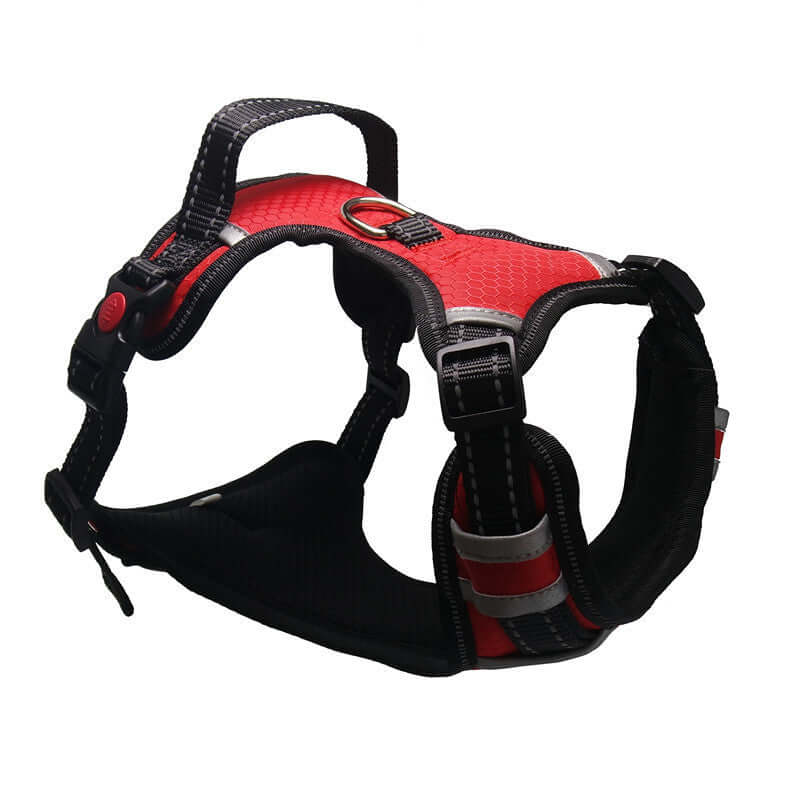 Harnais de sécurité pour animaux de compagnie, design robuste en nylon rouge, idéal pour les trajets en voiture.