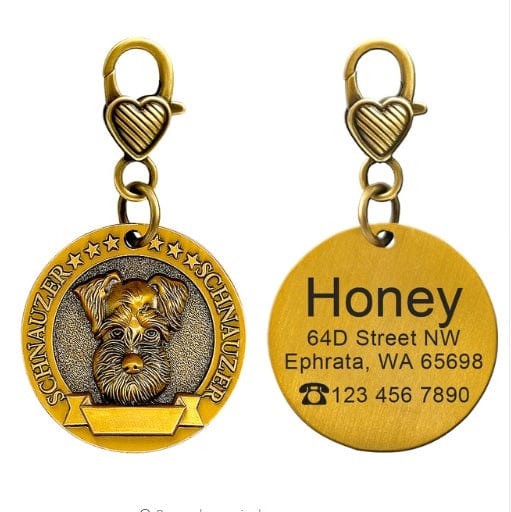 Porte-Identité Personnalisé pour Chien en Bronze avec gravure et attache en coeur, idéal pour l'identification de l'animal.