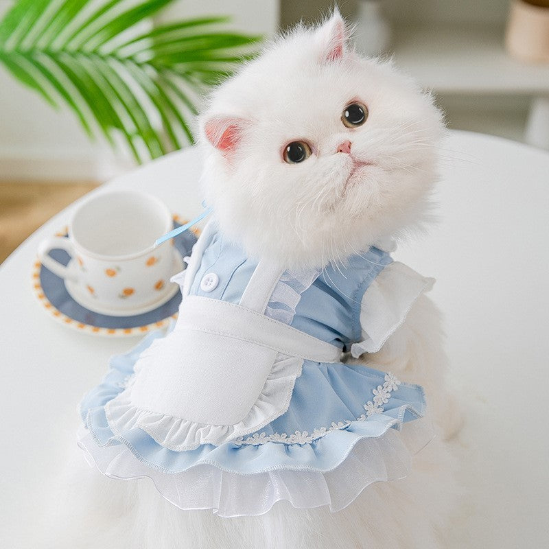 Chat élégant en robe bleue avec volants, assis à une table, prêt pour une occasion spéciale dans un style raffiné.
