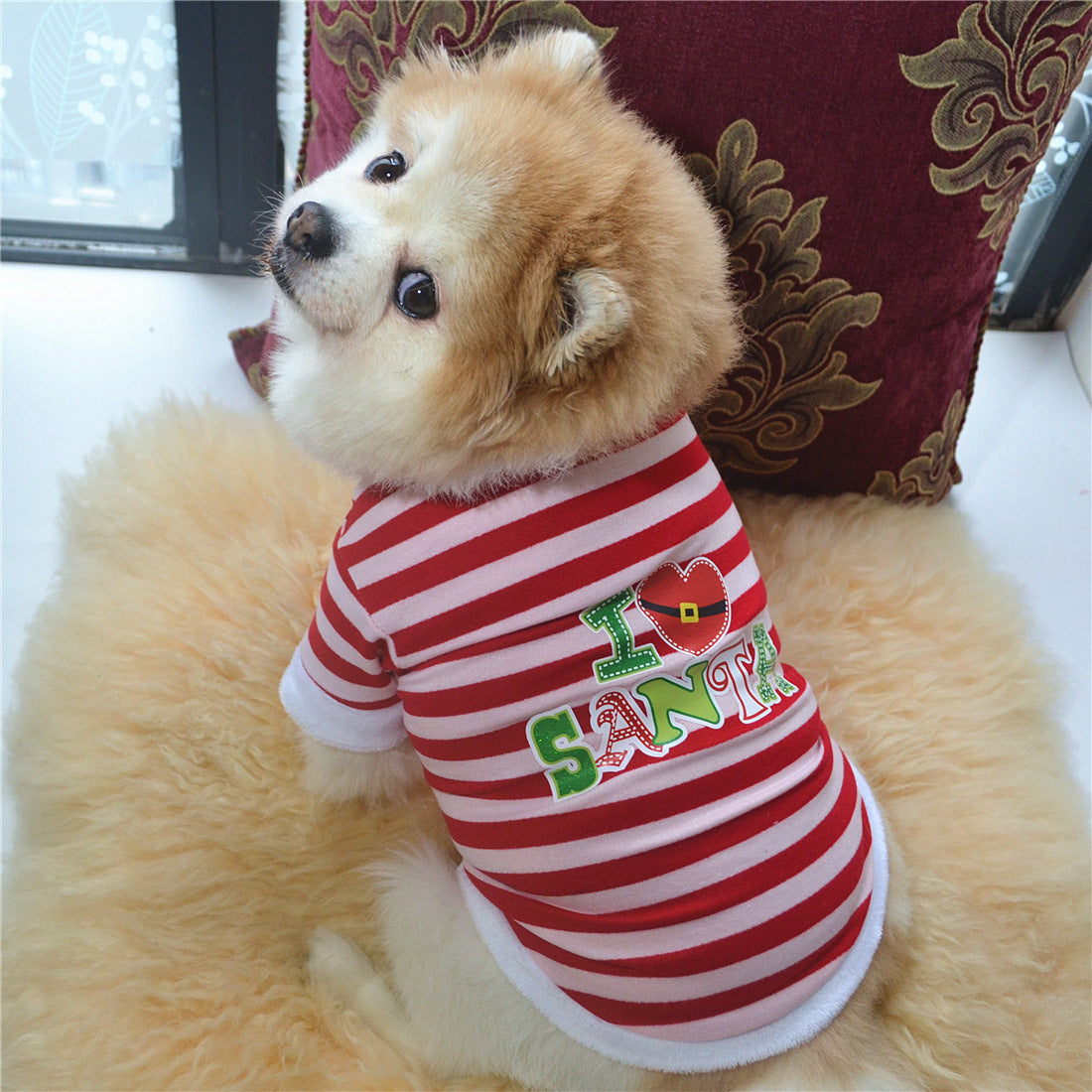 Chien en robe de Noël rayée rouge et blanche avec message 'I Love Santa' sur un fond doux