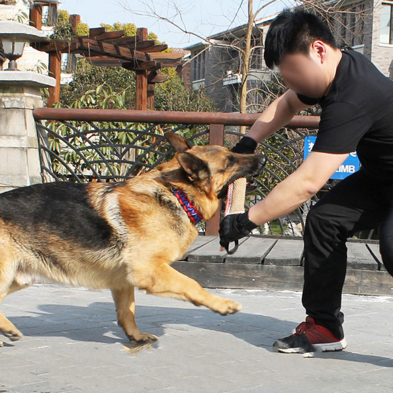 Bâton d'Entrainement pour Chiens à Mordre