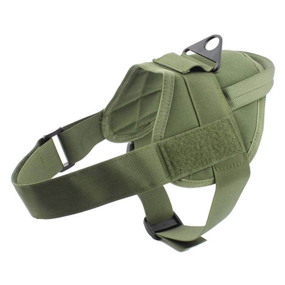 Gilet de combat tactique pour chien en nylon vert, léger et résistant, idéal pour les activités extérieures et l'entraînement.