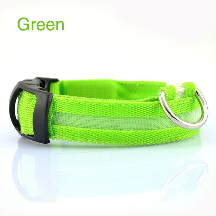 Collier LED de sécurité vert pour chien, idéal pour les promenades nocturnes, durable et tendance.