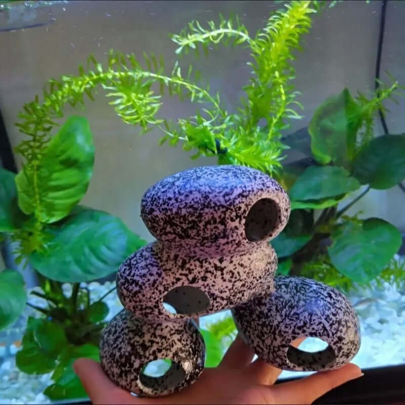 Pierre décorative pour aquariums, idéale pour abriter des poissons comme les cichlidés, avec un design naturel.