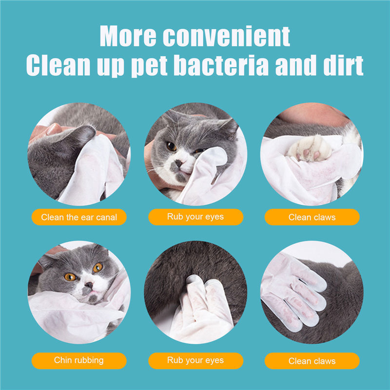 Gants Jetables pour Animaux de Compagnie - 6 Pièces