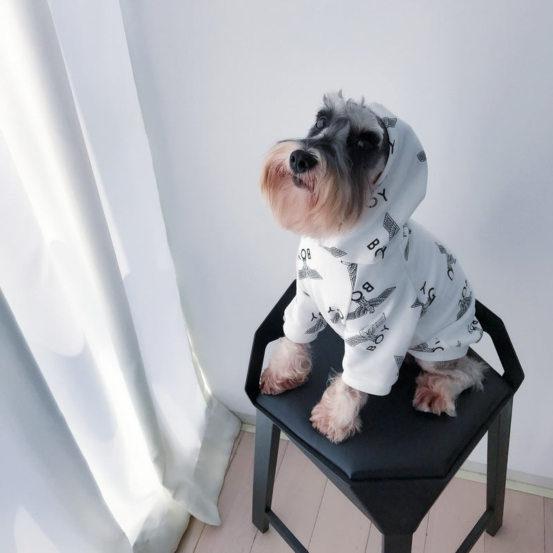 Petit chien portant un pull d'hiver en coton blanc avec capuche, assis sur une chaise.