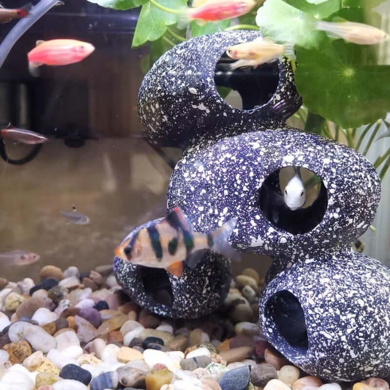 Pierre décorative pour aquariums, offrant abri et refuge pour poissons tropicaux et cichlidés.