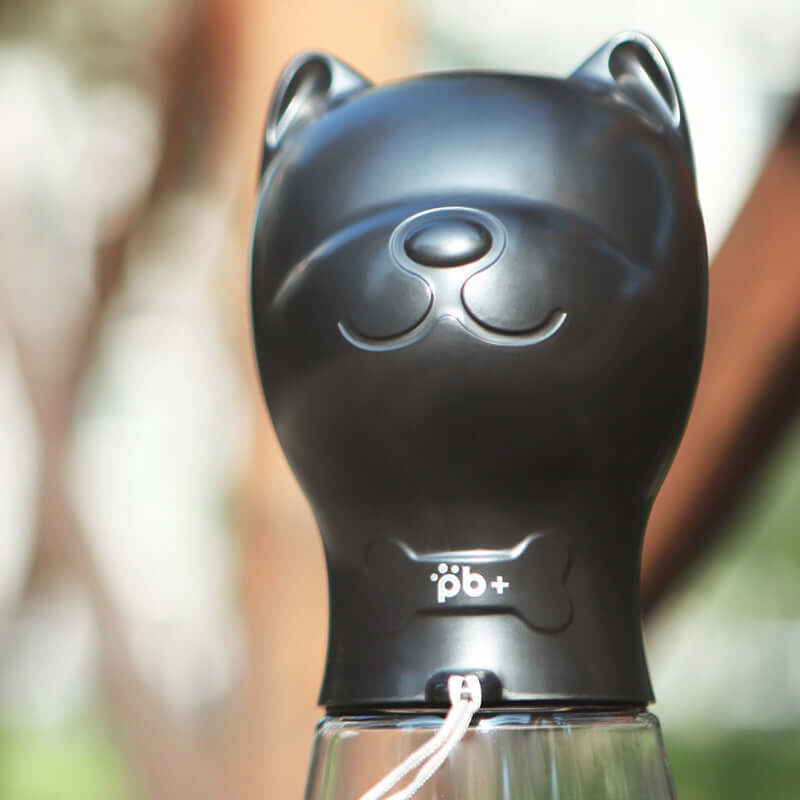 Gourde d'eau portable pour animaux en forme de tête de chat, idéale pour garder vos compagnons hydratés.