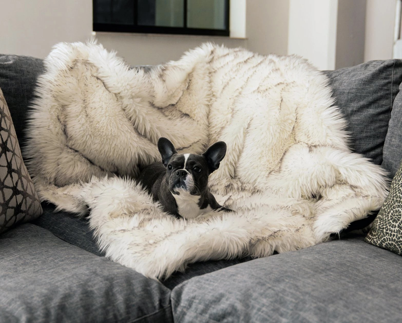 Tapis Chaleureux d'Hiver pour Chiens