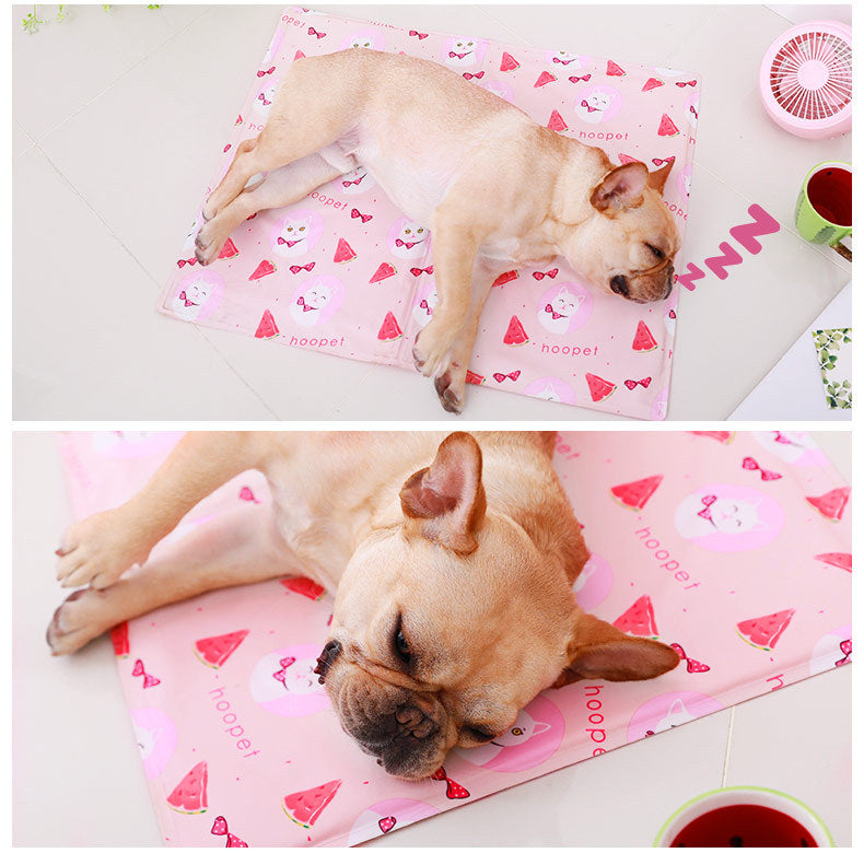Tapis de Glace pour Chien