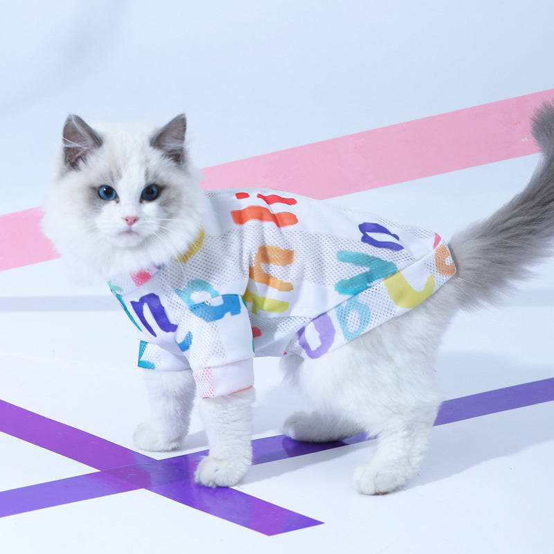 Chat mignon portant un gilet antichute de poils coloré, parfait pour le style et le confort.