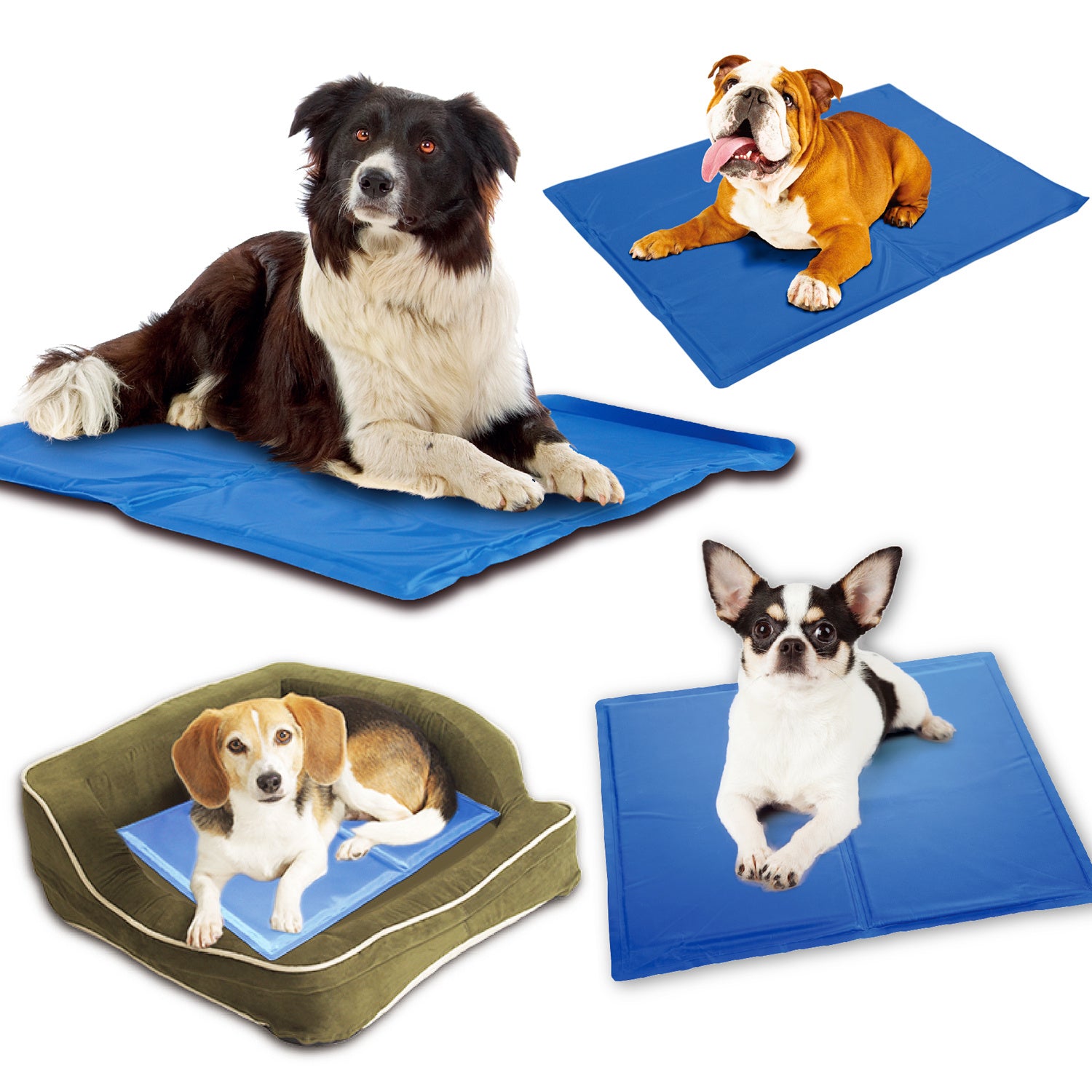 Tapis Refroidissant pour Animaux de Compagnie