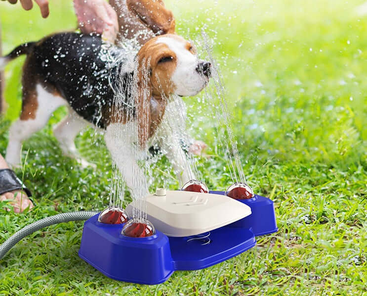 Fontaine à boire automatique pour chien, idéal pour l'hydratation, avec jets d'eau amusants en extérieur.