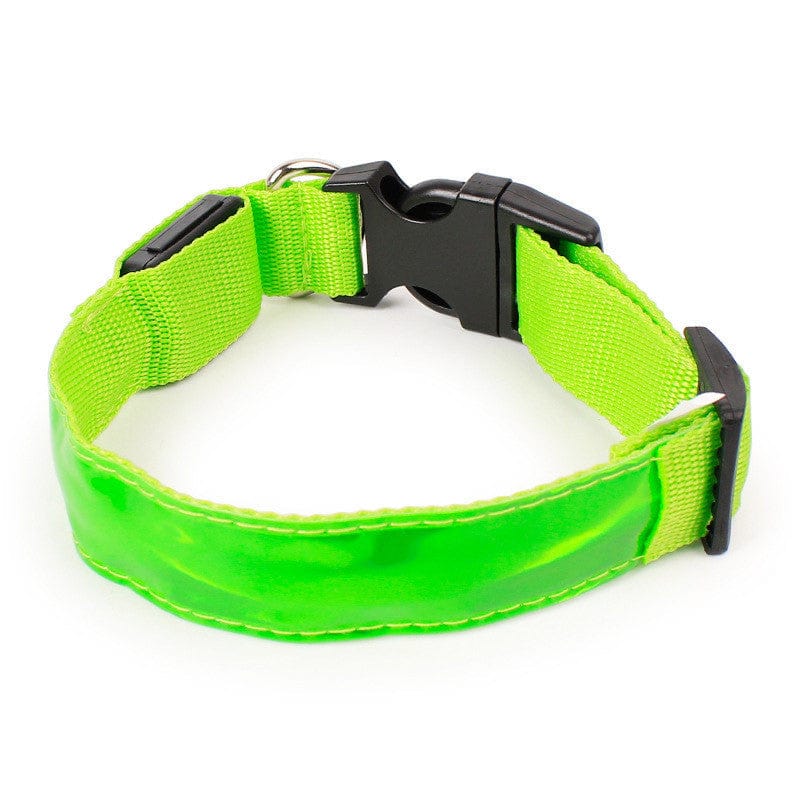 Collier pour chien en nylon vert avec clip et bouclerie, ajustable pour un confort optimal.