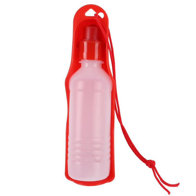 Bouteille d'eau portable pour chiens avec bol, conçue pour l'hydratation en plein air, sans BPA.