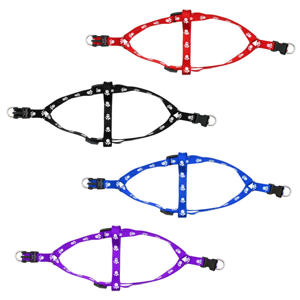 Harnais ajustable pour chien en plusieurs couleurs avec motifs, idéal pour petites et moyennes tailles.
