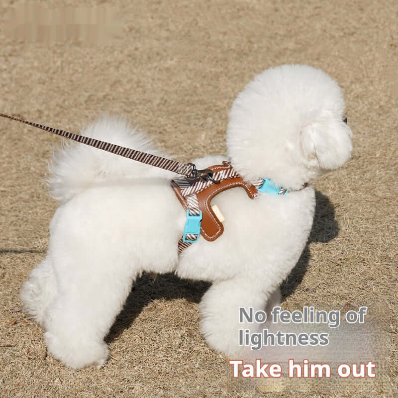 Harnais de chien anti-dérapant en cuir, parfait pour les promenades confortables et sécurisées.