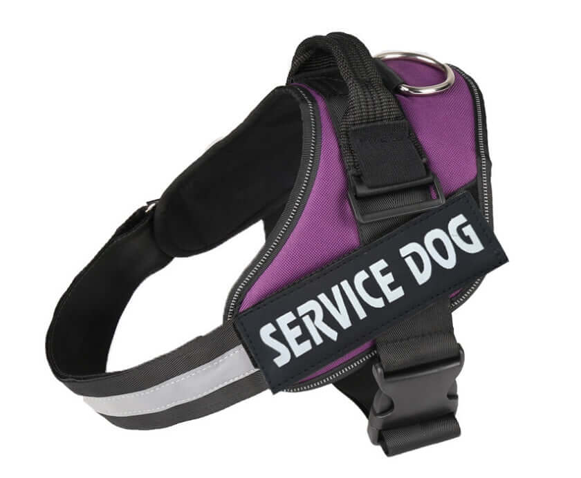 Harnais pour chien en nylon violet avec étiquette Service Dog, idéal pour chiens de soutien.