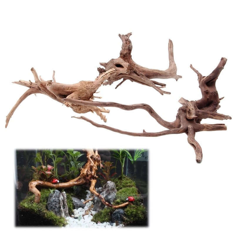 Décoration aquarium en bois de racine d'arbre, ajoutant une touche naturelle à votre espace aquatique.