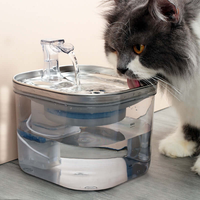 Fontaine automatique en acier inoxydable pour animaux, avec un chat buvant de l'eau fraîche.