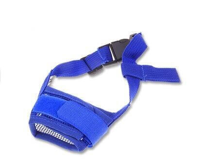 Muzzle en nylon respirant pour chien de couleur bleue, design robuste et confortable.