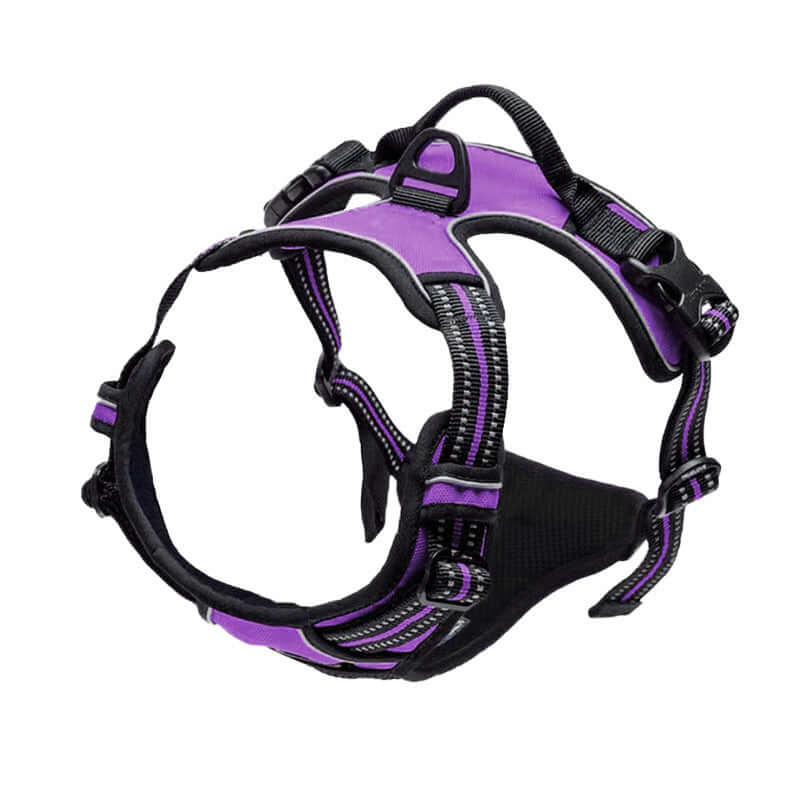 Harnais de sécurité pour chien en noir et violet, conçu pour le confort et la sécurité des animaux.