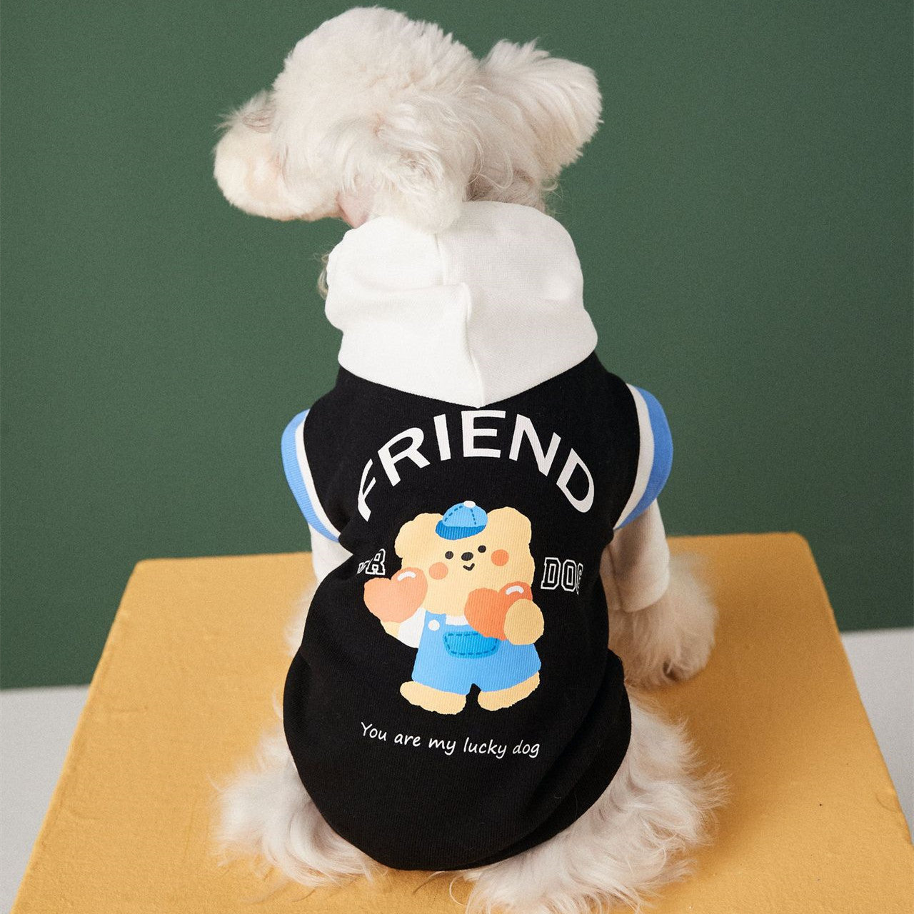 Pull pour chien avec design amical et message "You are my lucky dog" en arrière-plan.