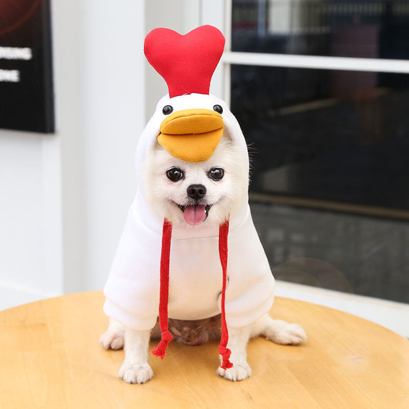 Chien portant un costume amusant de poulet avec une capuche rouge, assis sur une table.