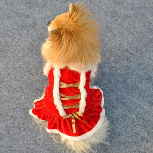 Jupe rouge classique en velours pour animaux de compagnie, parfaite pour Noël et Nouvel An