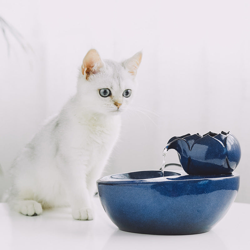 Fontaine à eau pour chat élégante avec un chat curieux, favorisant l'hydratation des animaux.