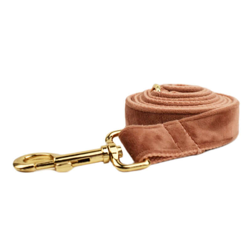 Laisse en velours rose pour chien avec crochet doré, élégante et confortable pour les promenades.