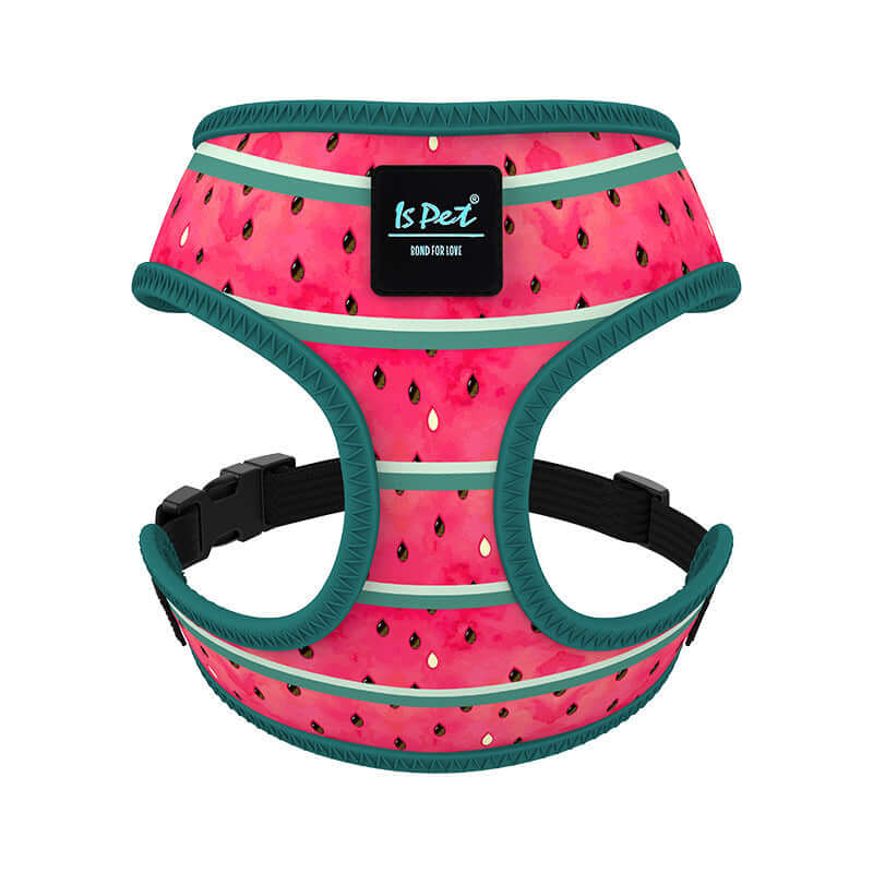 Harnais de sortie en polyester pour chien motif pastèque, confortable et breathable, idéal pour les aventures en plein air.