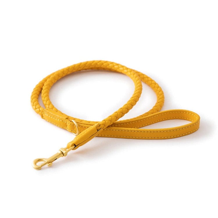 Laisse en cuir tressé jaune pour chien, style durable et sécurisé avec fermeture en métal.