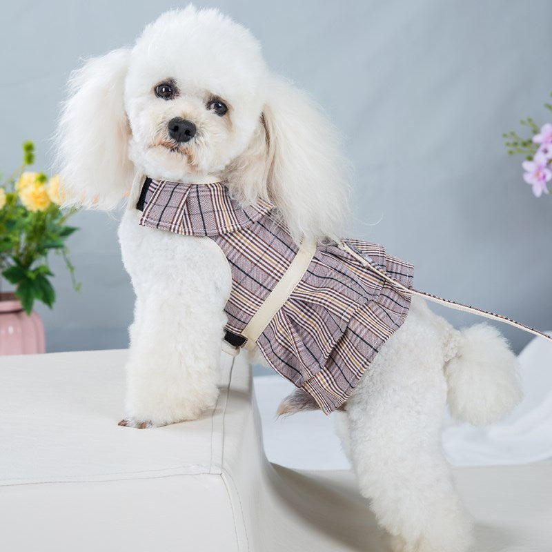Chien portant un harnais à motifs et une laisse, prêt pour une promenade, sur un fond fleuri.