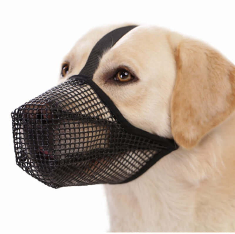 Masque de protection pour chien noir adapté pour assurer le confort et la sécurité de votre animal.