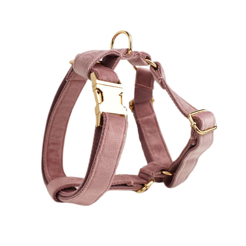 Harnais de sécurité pour chien en velours rose avec boucle dorée, élégant et durable pour le confort de votre animal.