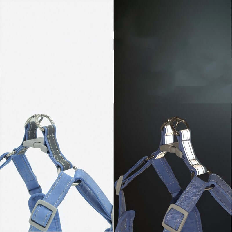 Corde de traction légère et réfléchissante pour chiens en bleu, vue des détails du harnais.
